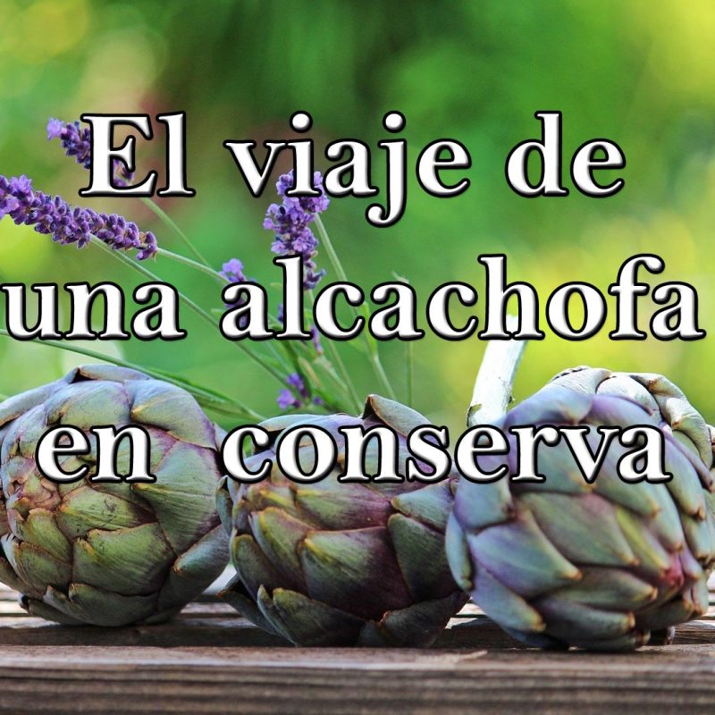 el viaje de una alcachofa en conserva